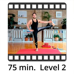 VIDEO "Power Vinyasa Flow – Fokus Beinrückseiten" mit Mate Granic