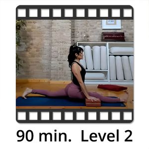 VIDEO "Flexibilität & Intelligenz des Körpers" Level 2 mit Lina Alonso