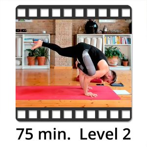 Power Vinyasa Flow – Tanzende Hüften mit Mate Granic