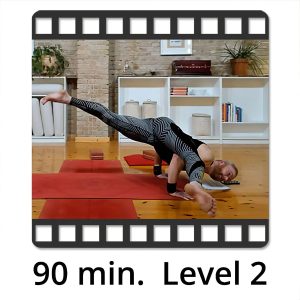 VIDEO "Körper und Geist ausbalancieren Level 2" mit Victor Thiele