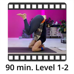 VIDEO "Komm in den Kopfstand Teil 1, Level 1-2" mit Victor Thiele