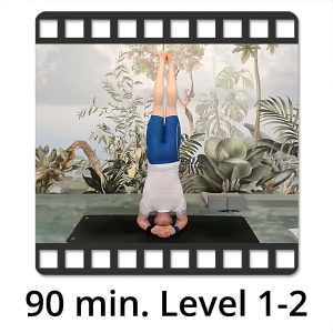 VIDEO "Komm in den Kopfstand Teil 2, Level 1-2" mit Victor Thiele